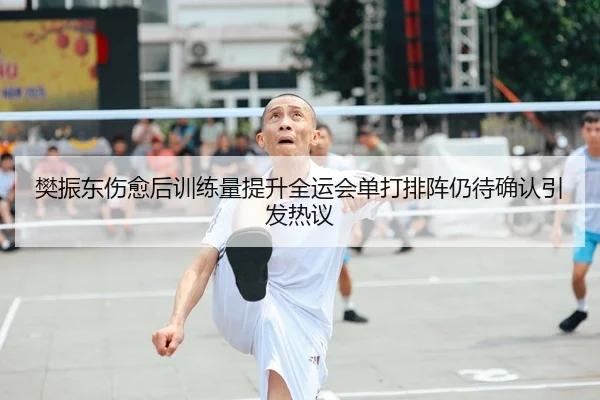 樊振东伤愈后训练量提升全运会单打排阵仍待确认引发热议